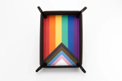 Pride Progress Snap Rectangle Dice Tray
